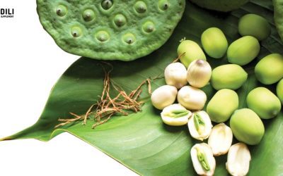 8 cách dùng tâm sen chữa mất ngủ đơn giản tại nhà