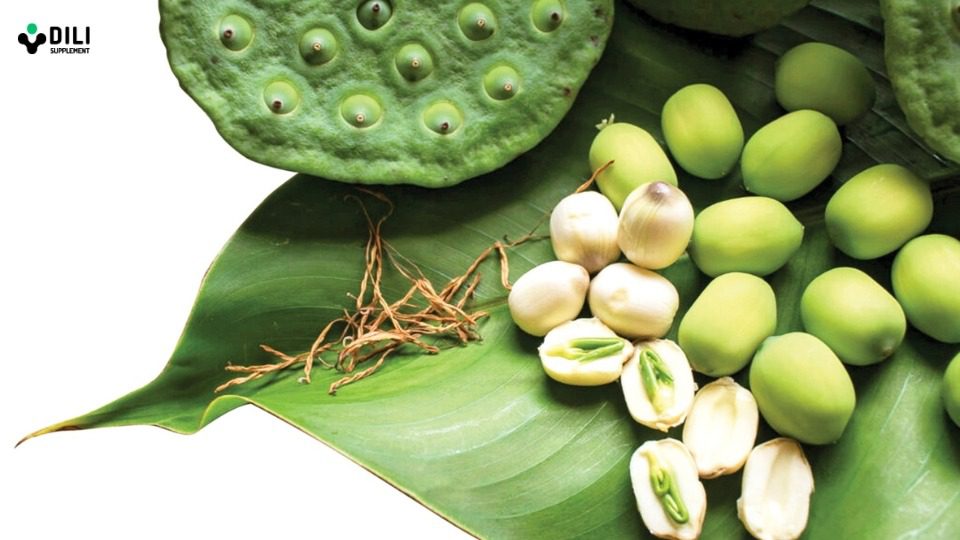 8 cách dùng tâm sen chữa mất ngủ đơn giản tại nhà